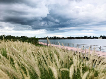 Scenic view of land against sky