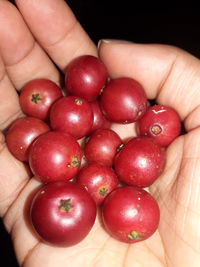 Close-up of cropped hand holding strawberry