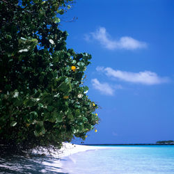 View of calm sea against blue sky