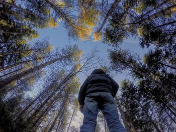 Low section of man standing amongst tree against sky