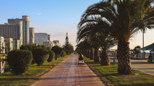 City landscape in batumi. beautiful nature in the city of georgia. boulevard. bike path. 