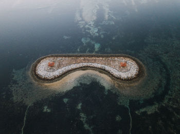 High angle view of turtle in sea