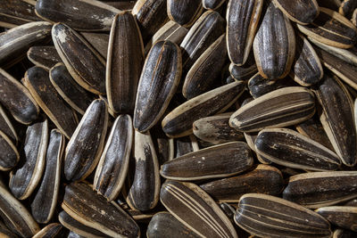 sunflower seed