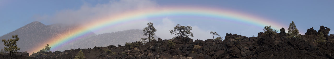 Panoramic view of rainbow over forest against sky