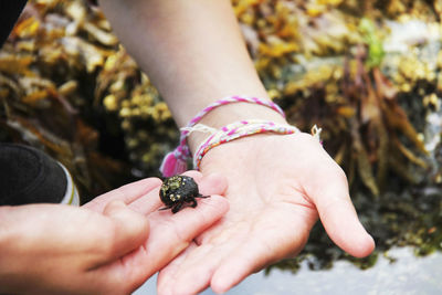 Close-up of person holding hands