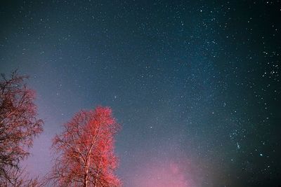 Low angle view of stars in sky