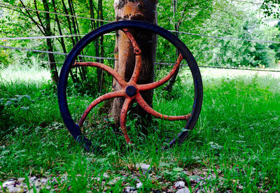 Close-up of bicycle parked on tree trunk