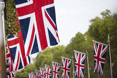 Close-up of flags