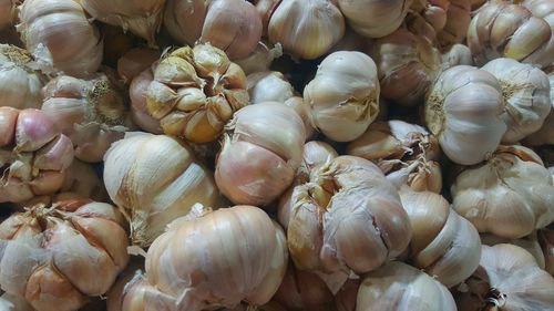 Full frame shot of onions for sale