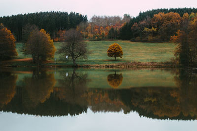 Scenic view of lake by trees against sky