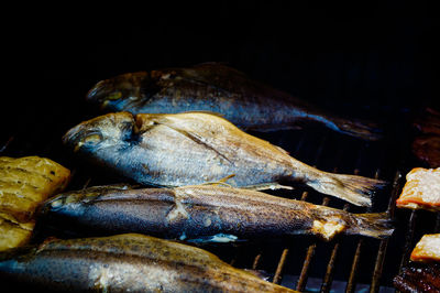 Close-up of meat on barbecue grill against black background