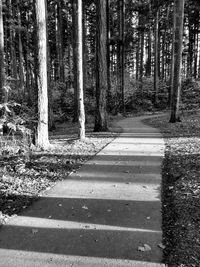 Road amidst trees in forest