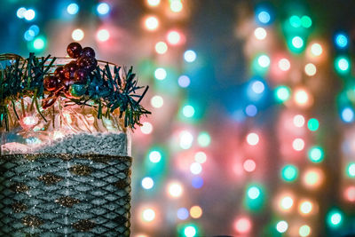 Close-up of insect on illuminated wall