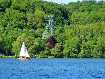 Sailboat on sea by trees in forest