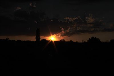 Silhouette trees on field against sky at sunset