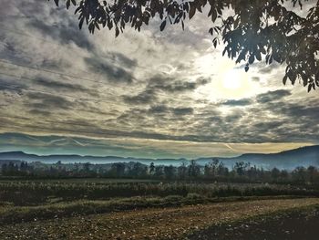 Scenic view of field against sky during sunset