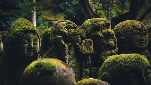 Close-up of statue against trees