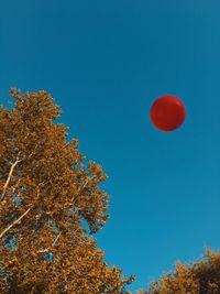 Low angle view of balloons against blue sky