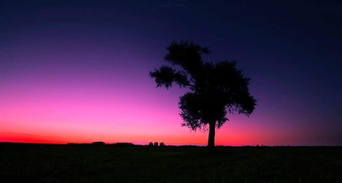 Silhouette tree on field against sky at night