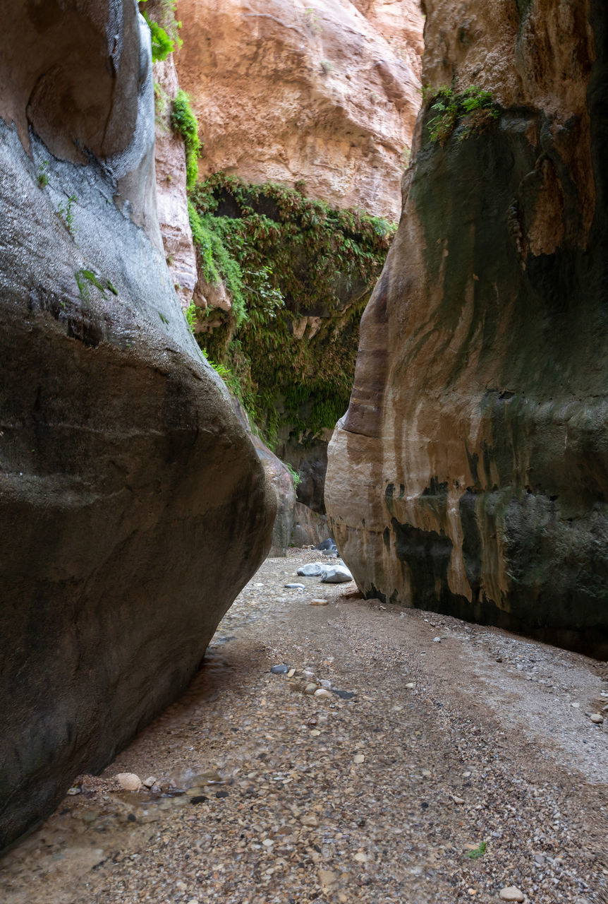 rock, rock formation, nature, beauty in nature, no people, non-urban scene, wadi, land, scenics - nature, geology, canyon, day, travel destinations, travel, tranquility, outdoors, eroded, cliff, environment, physical geography, plant, terrain, architecture, cave, landscape, tree, narrow, tranquil scene, footpath