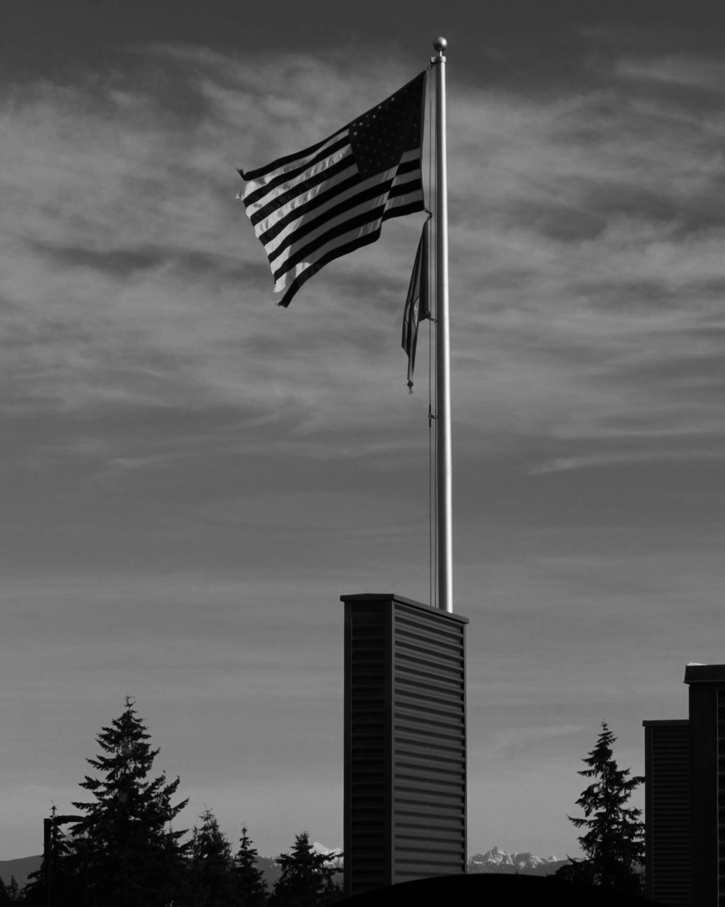 LOW ANGLE VIEW OF FLAG FLAGS AGAINST SKY