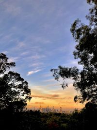 Low angle view of silhouette trees against sky during sunset