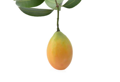 produce