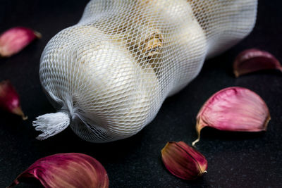 High angle view of shells on table