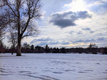 Bare trees on snow covered field against sky