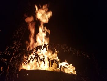 Close-up of bonfire at night