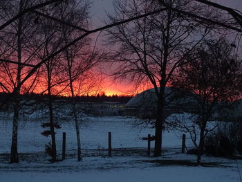 Bare trees on snow covered field during sunset