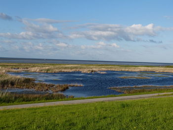 Scenic view of field by sea against sky