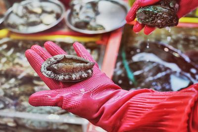 Cropped hand with glove holding abalone at market stall