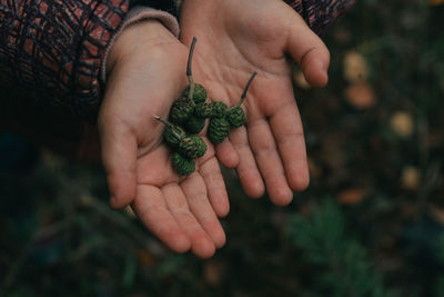 Cropped image of hand holding plant