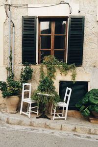Plant growing in house
