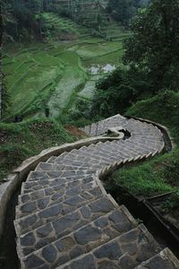 High angle view of water flowing in park
