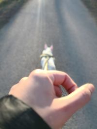 Close-up of hand holding the road