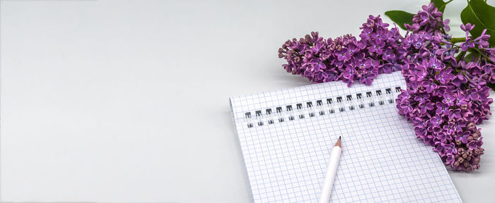 High angle view of purple flowering plants on white table