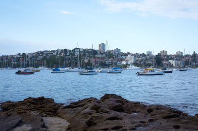 Sailboats moored on harbor in city against sky