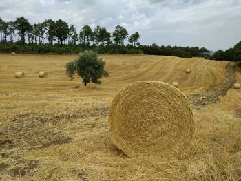 Hay bales on field against sky