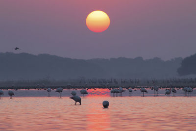 Group of people in the sea during sunset