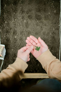 Close-up of hand holding plant