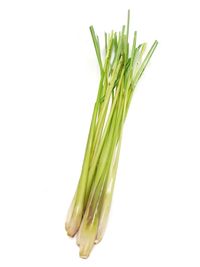 Close-up of fresh green leaf against white background