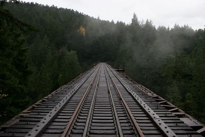 Railroad track amidst trees against sky