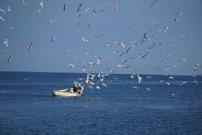 Birds flying over sea and boat against sky