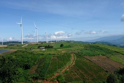 Windmills on landscape against blue sky during sunny day