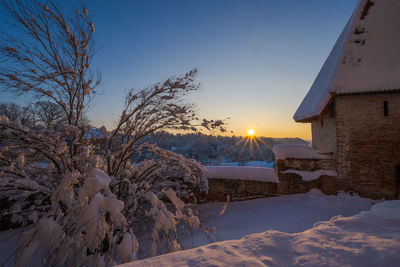 Bare trees on snow covered landscape