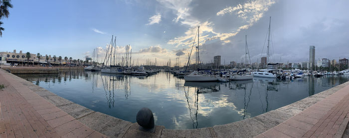 Sailboats in marina