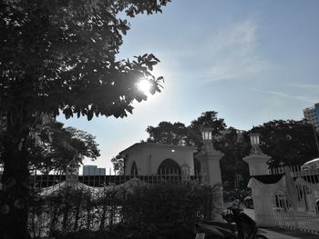 Silhouette of trees and buildings against sky