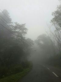 Road passing through foggy weather